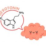 Formula de la Serotonina y un dibujo de un cerebro